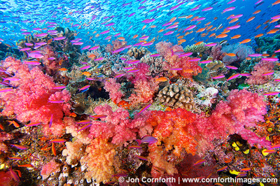 Great Barrier Reef - Australian Landforms